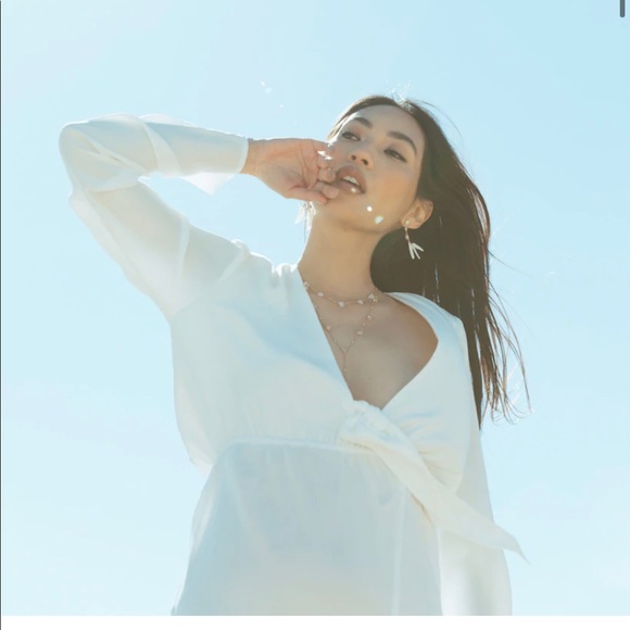 Custom Desire Gown, Stone Cold Fox - Picture 3 of 6